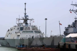 US Navy vessels arrived at Tien Sa port (Photo: VNA)