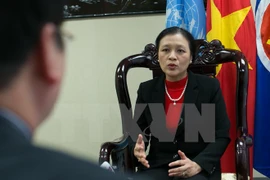 Ambassador Nguyen Phuong Nga (Photo: VNA)