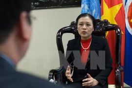 Ambassador Nguyen Phuong Nga (Photo: VNA)