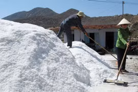  Several scientific studies show that a large number of cancer patients are deficient in mineral elements like magnesium, calcium, iodine, zinc, and selenium which are found in handmade salt. (Photo: VNA)
