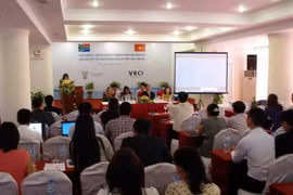 Vietnamese and South African businesses have explored cooperation opportunities in trade and tourism. (Source: VNA)