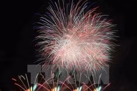 Firework show by South Africa at the opening night. Photo: VNA