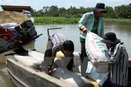 1 million tonnes of rice for stockpile in the context of abundant supply from the Winter-Spring 2014-2015 crop harvest. (Photo: VNA)