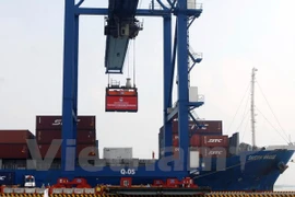 The first cargo ship anchored at the newly inaugurated Tan Cang-Hiep Phuoc port. - Photo: VNA