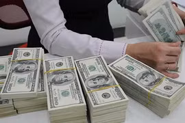 SBV dollar sale pledge helps exchange rate 