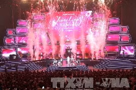 Da Nang holds gala night to welcome firework festival 