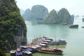 A corner of Ha Long Bay (Photo: VNA)