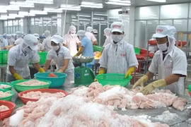 US DOC’s proposals hamper Vietnam exports 