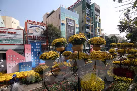 A part of Can Tho's flower street during 2015 Lunar New Year holiday (Photo: VNA)