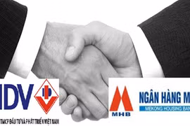 The increase in registered capital follows after its merger with State-owned Mekong Housing Bank (MHB). (Photo: VNA)