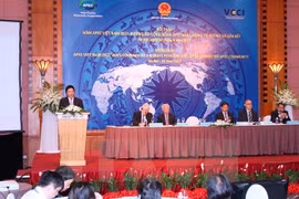Deputy PM Pham Binh Minh speaks at the conference (Photo: VNA)