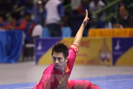 Tran Xuan Hiep (Photo:VNA)
