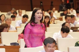 Scene at the session. Photo: VNA