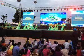 An art performance at the festival (Photo: VNA)