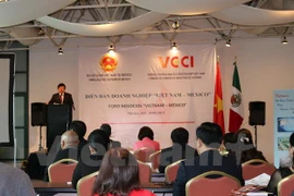At the forum (Photo: VNA)