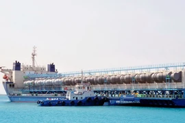 Vietnam-made desalination equipment shipped to Saudi Arabia (Photo: VNA)