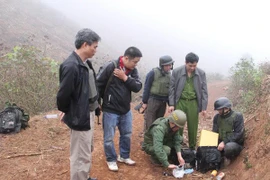 Some 40 cakes of heroin were caught in Son La province. (Photo: VNA)