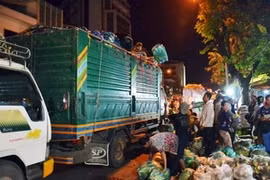 Vietnamese fruit and vegetables, and fibre export turnover saw double increases. Photo: VNA
