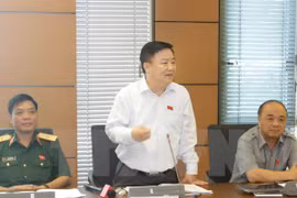 Deputy of Bac Giang province Nguyen Anh Dung speaks at a group discussion (Photo: VNA)