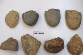 Prehistoric traces discovered in Ha Giang 