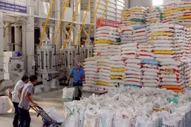 The Mekong Delta provinces export 516,000 tonnes of rice in January (Photo:VNA)