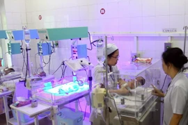 Nurses take care of a newborn (Photo: VNA) 