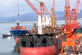 SBIC is to restructure 152 subsidiaries in 2015. (Photo: VNA)