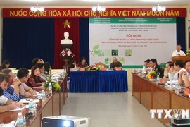 A review of 8-year environmental sanitation programme in coastal cities. (Source: VNA)