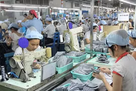 A code of conduct to prevent sexual harassment at work is applied to all enterprises on a voluntary basis. (Photo: VNA)