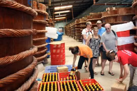 Foreigners visit a fish sauce producing establishment in An Thoi township (Photo: VNA)