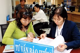 At the conference, brokerage firms said that detailed regulations for operations and insurance brokerage fees are needed. (Photo: tinnhanhchungkhoan)