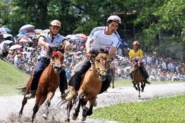 Bac Ha horse race festival 2012 (Photo: VNA)