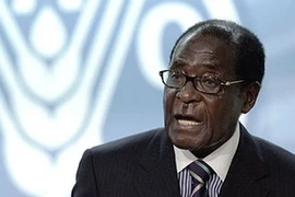New ambassador pledges to boost ties with Zimbabwe 