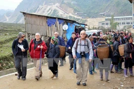 International tourists visit Ta Van commune, Sa Pa (Photo: VNA)