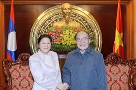 Vietnamese and Lao NA leaders (Source: VNA)