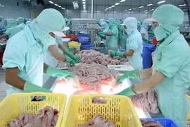 Processing tra fish for export (Source: VNA)