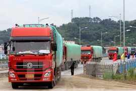 Exports and imports transported via a border gate. (Photo: VNA)
