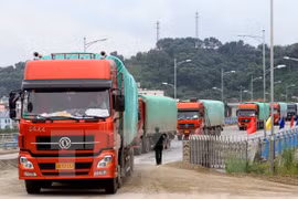 Exports and imports transported via a border gate. (Photo: VNA)