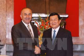 President Truong Tan Sang receives Turkish Foreign Minister Mevlut Cavusoglu (Source: VNA)
