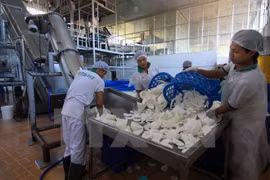 Producing copra for export (Photo: VNA)