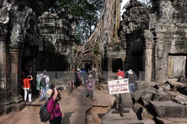 Tourists visit Ta Phrom temple, part of Angkor Wat (Source: AFP/VNA) 