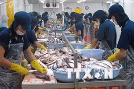 Seafood processing - Illustrative image (Source: VNA)