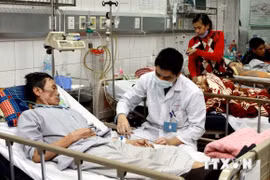 Doctor takes care of the elderly (Photo:VNA)