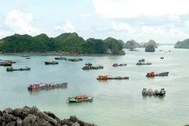 Cat Ba, a tourist destination in Hai Phong city (Photo: VNA)