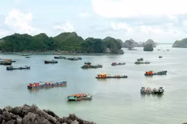 Cat Ba, a tourist destination in Hai Phong city (Photo: VNA)