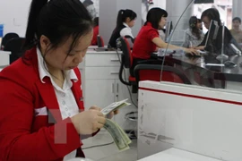 A staff member checks USD notes at Maritime Bank (Photo: VNA)