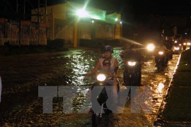 Seasonal flooding in Ho Chi Minh City. (Photo: VNA)