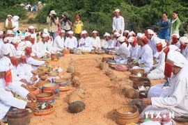 Cham people gather to perform rituals during the Ramuwan festival (Photo: VNA)