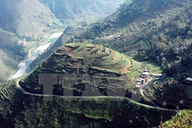 The image of Dong Van stone plateau (Photo: VNA) 