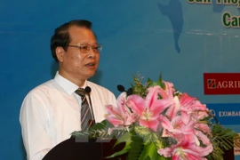 Deputy Prime Minister Vu Van Ninh speaks at the meeting (Photo: VNA)
